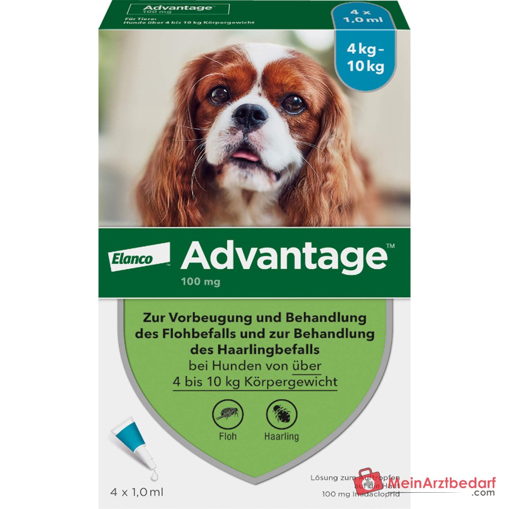 Advantage 100 Imidacloprid 100 mg/ml Spot-on Lösung Hund 4–10 kg 4 St