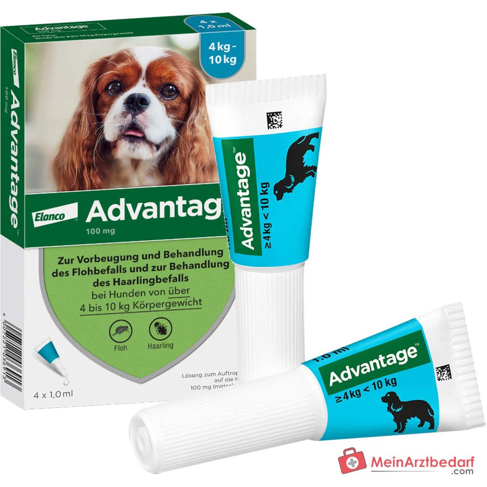 Advantage 100 Imidacloprid 100 mg/ml Spot-on Lösung Hund 4–10 kg 4 St