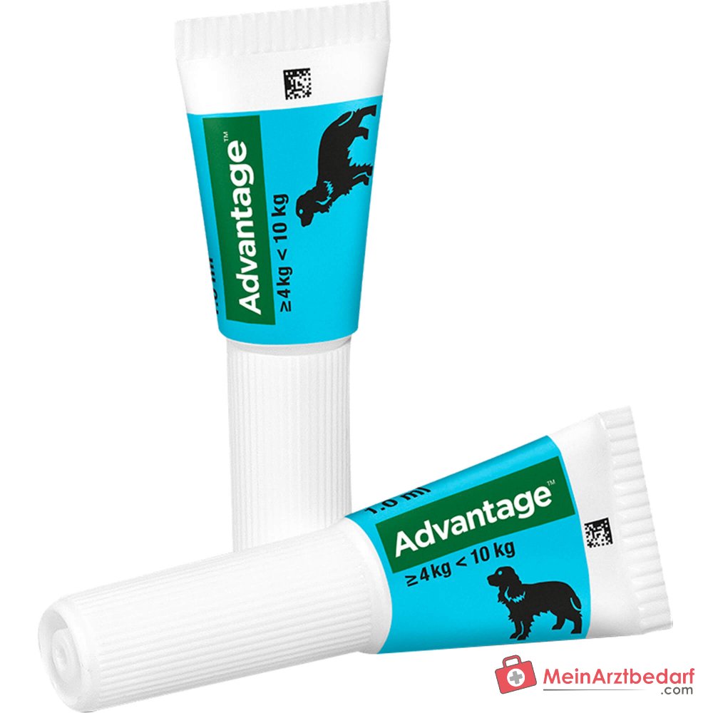 Advantage 100 Imidacloprid 100 mg/ml Spot-on Lösung Hund 4–10 kg 4 St