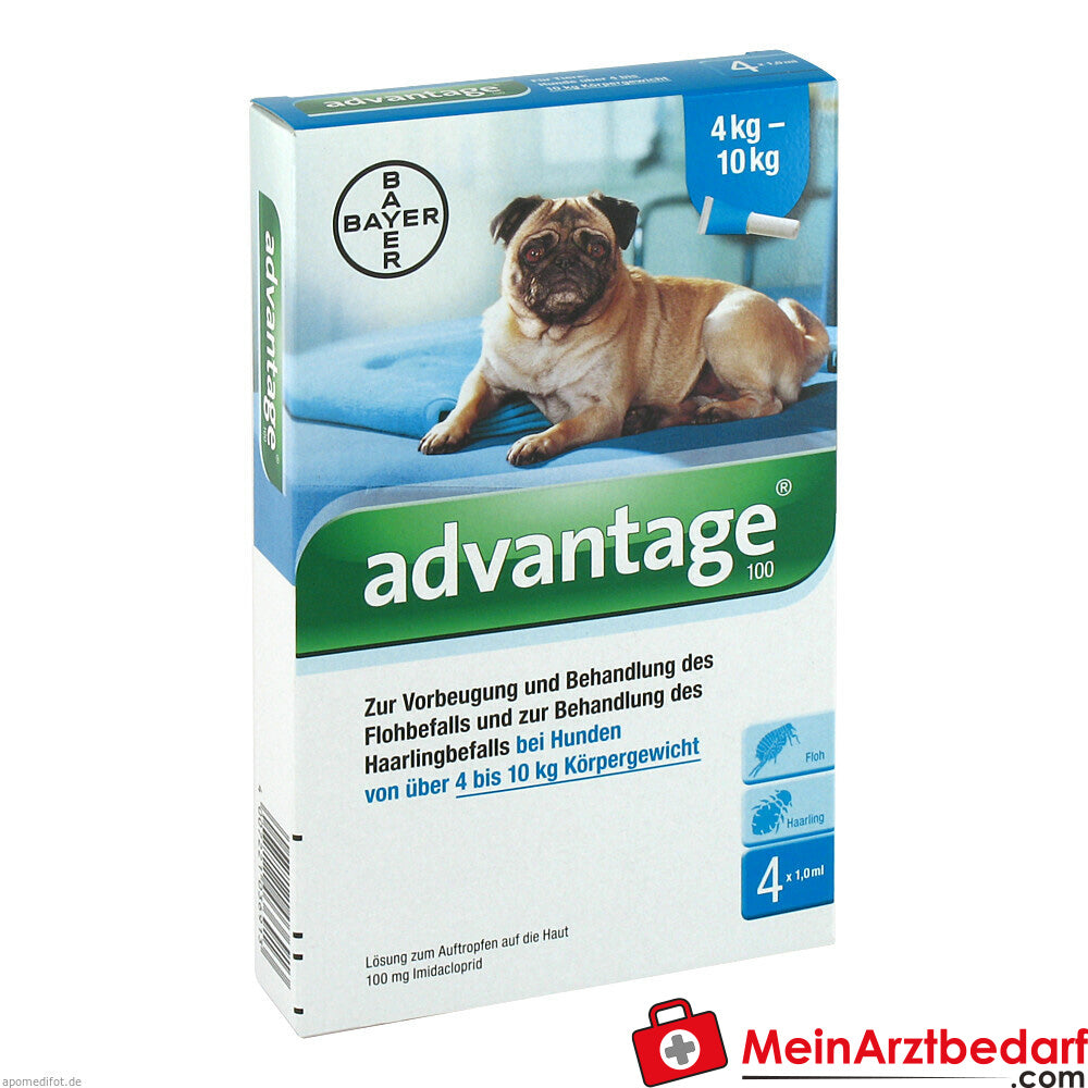 Advantage 100 Hund 4 St.