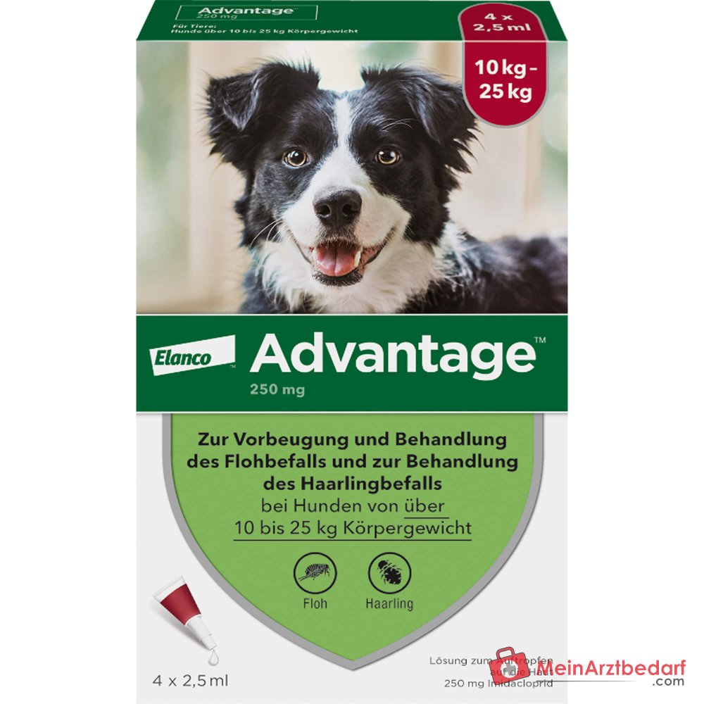 Advantage 250 Elanco Hund 100 mg Imidacloprid Spot-on Lösung 4 Stück