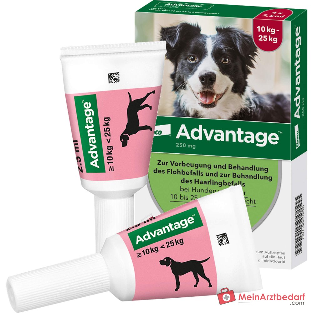 Advantage 250 Elanco Hund 100 mg Imidacloprid Spot-on Lösung 4 Stück