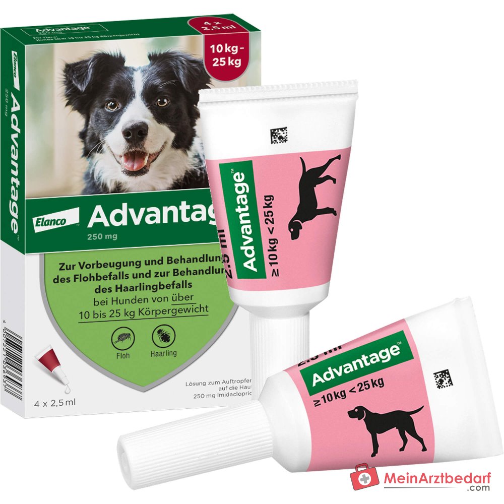 Advantage 250 Elanco Hund 100 mg Imidacloprid Spot-on Lösung 4 Stück