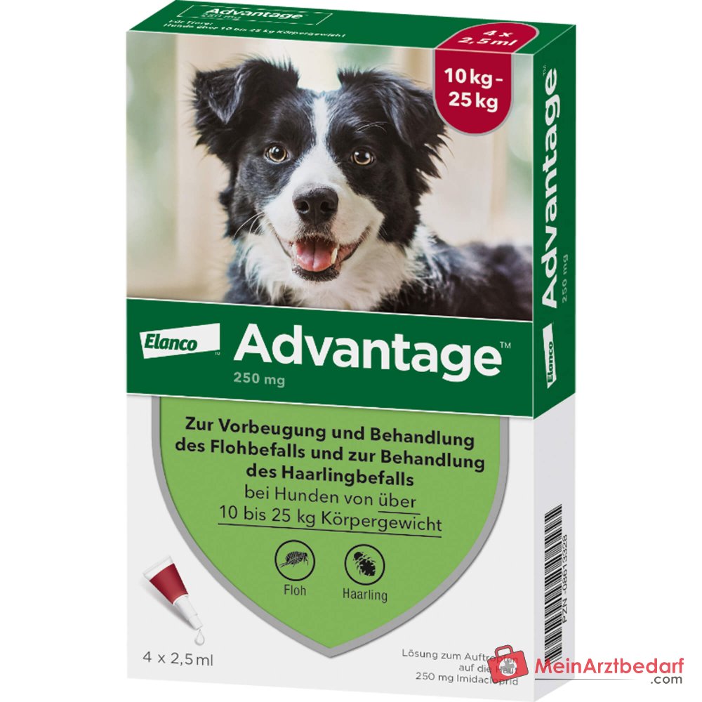 Advantage 250 Elanco Hund 100 mg Imidacloprid Spot-on Lösung 4 Stück