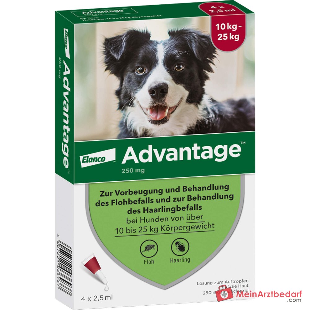 Advantage 250 Elanco Hund 100 mg Imidacloprid Spot-on Lösung 4 Stück