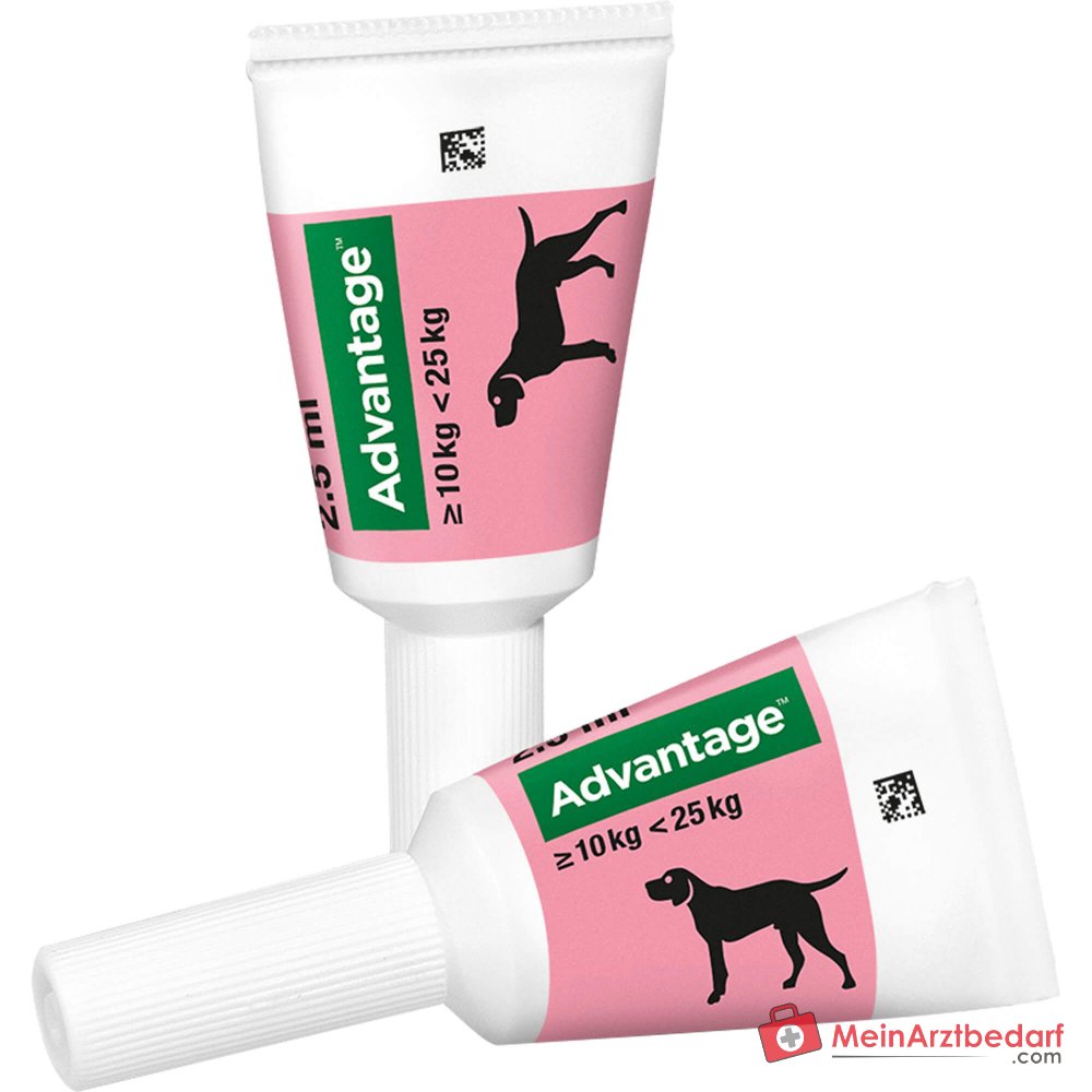 Advantage 250 Elanco Hund 100 mg Imidacloprid Spot-on Lösung 4 Stück
