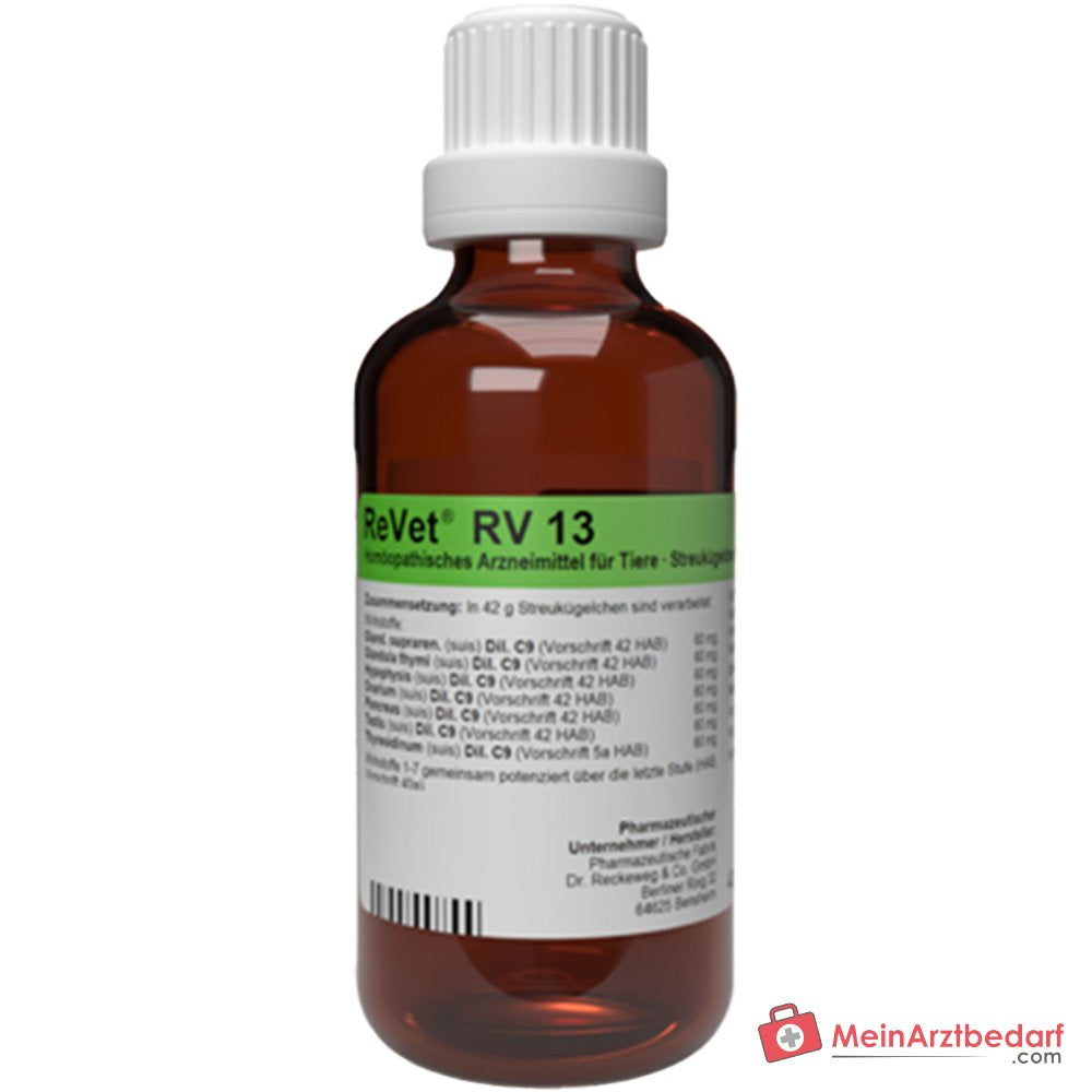 Dr Reckeweg ReVet RV 13 Globuli vet 42 g