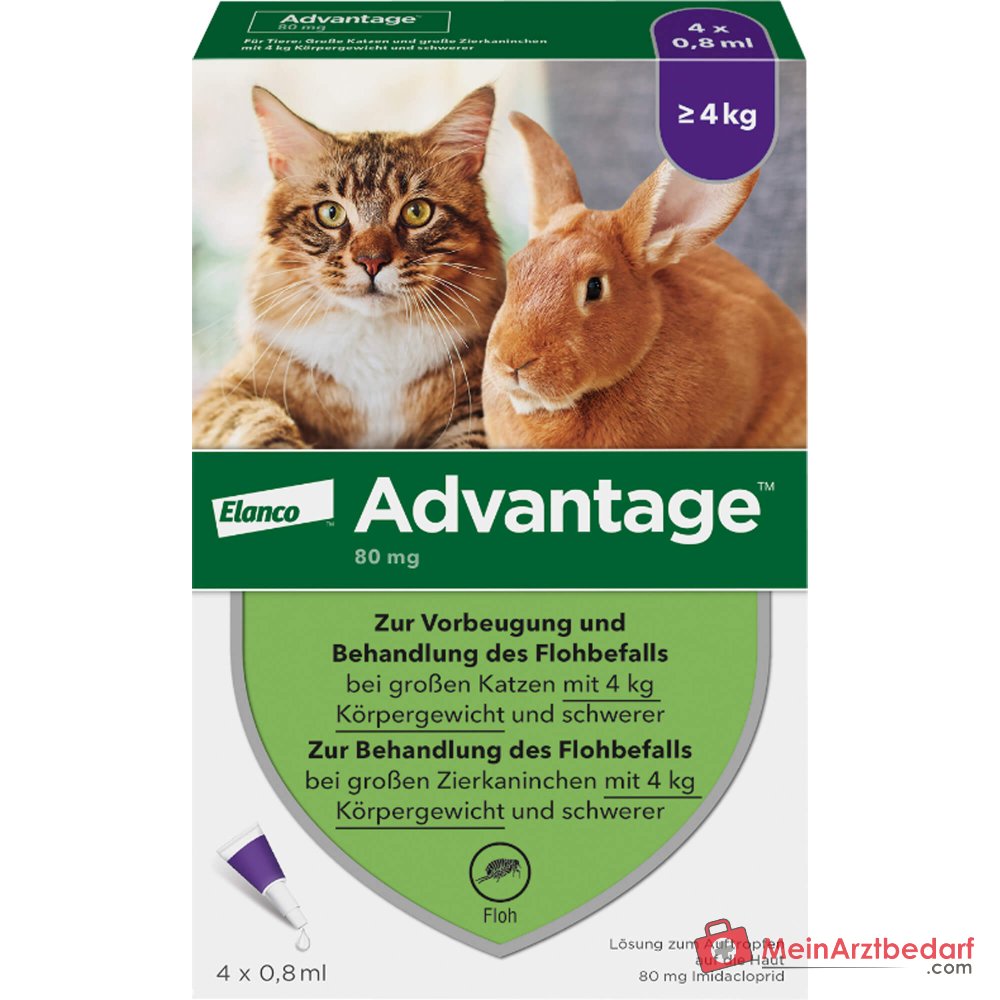Advantage Imidacloprid 80 mg/ml Spot-on gato 4 x 0,8 ml