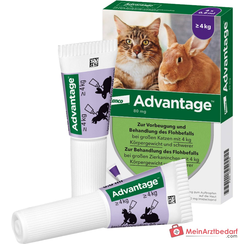 Advantage Imidacloprid 80 mg/ml Spot-on gato 4 x 0,8 ml