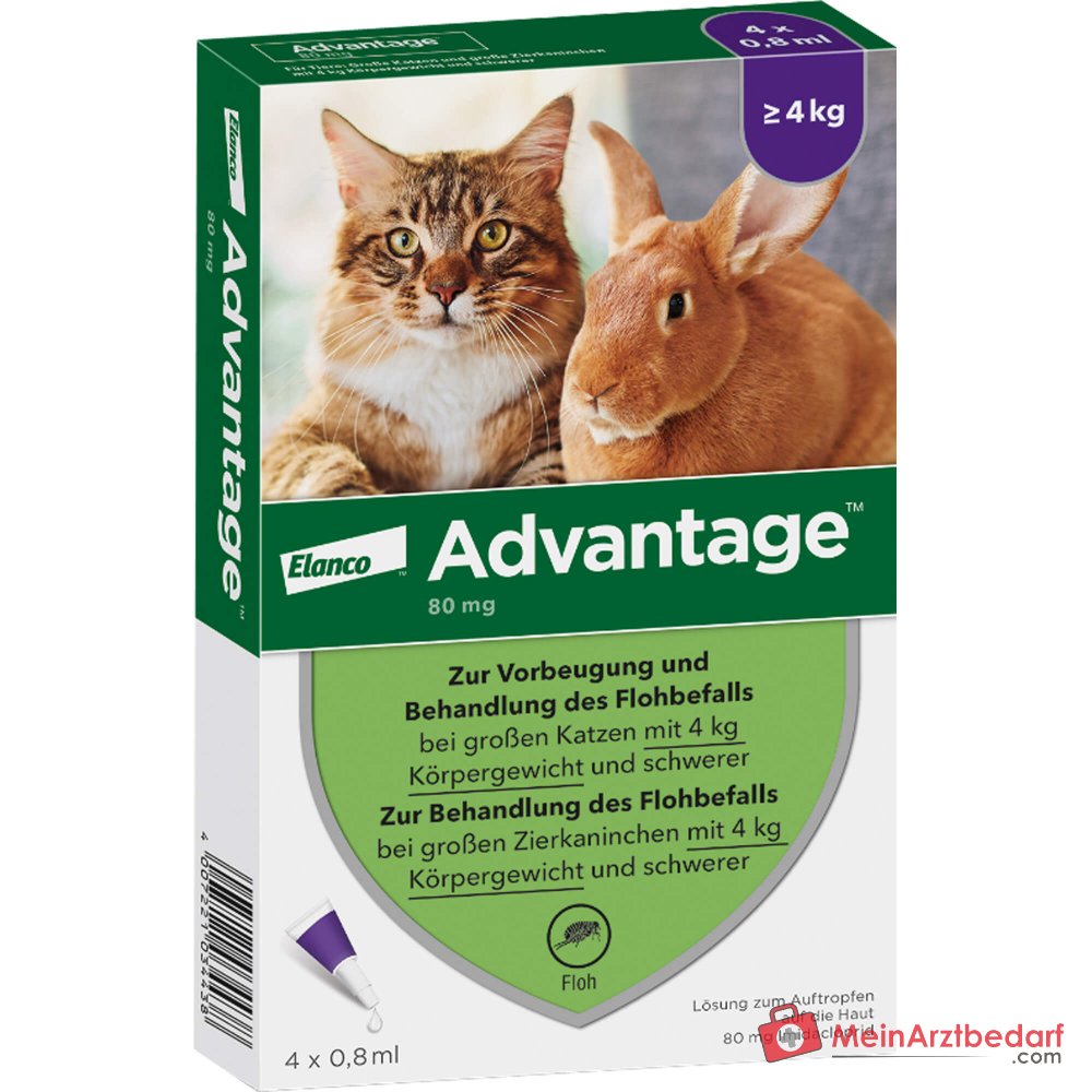 Advantage Imidacloprid 80 mg/ml Spot-on gato 4 x 0,8 ml