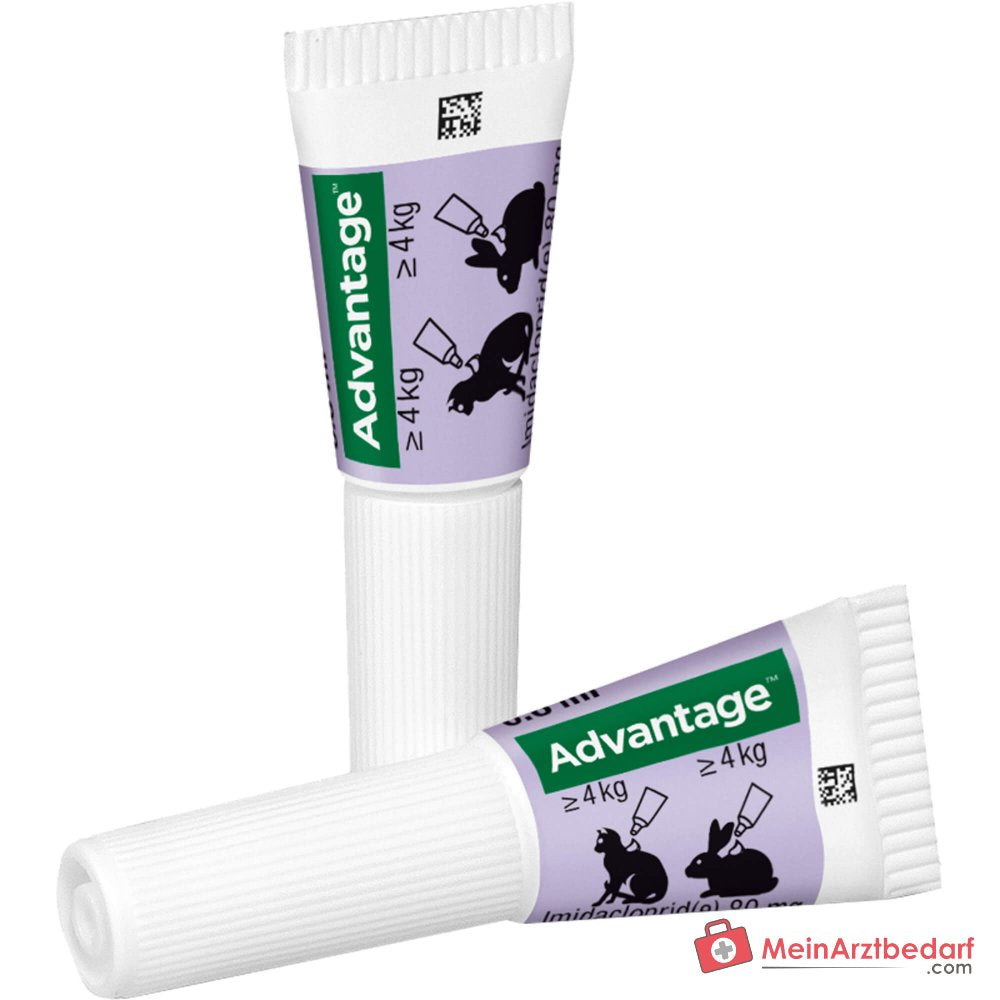 Advantage Imidacloprid 80 mg/ml Spot-on gato 4 x 0,8 ml