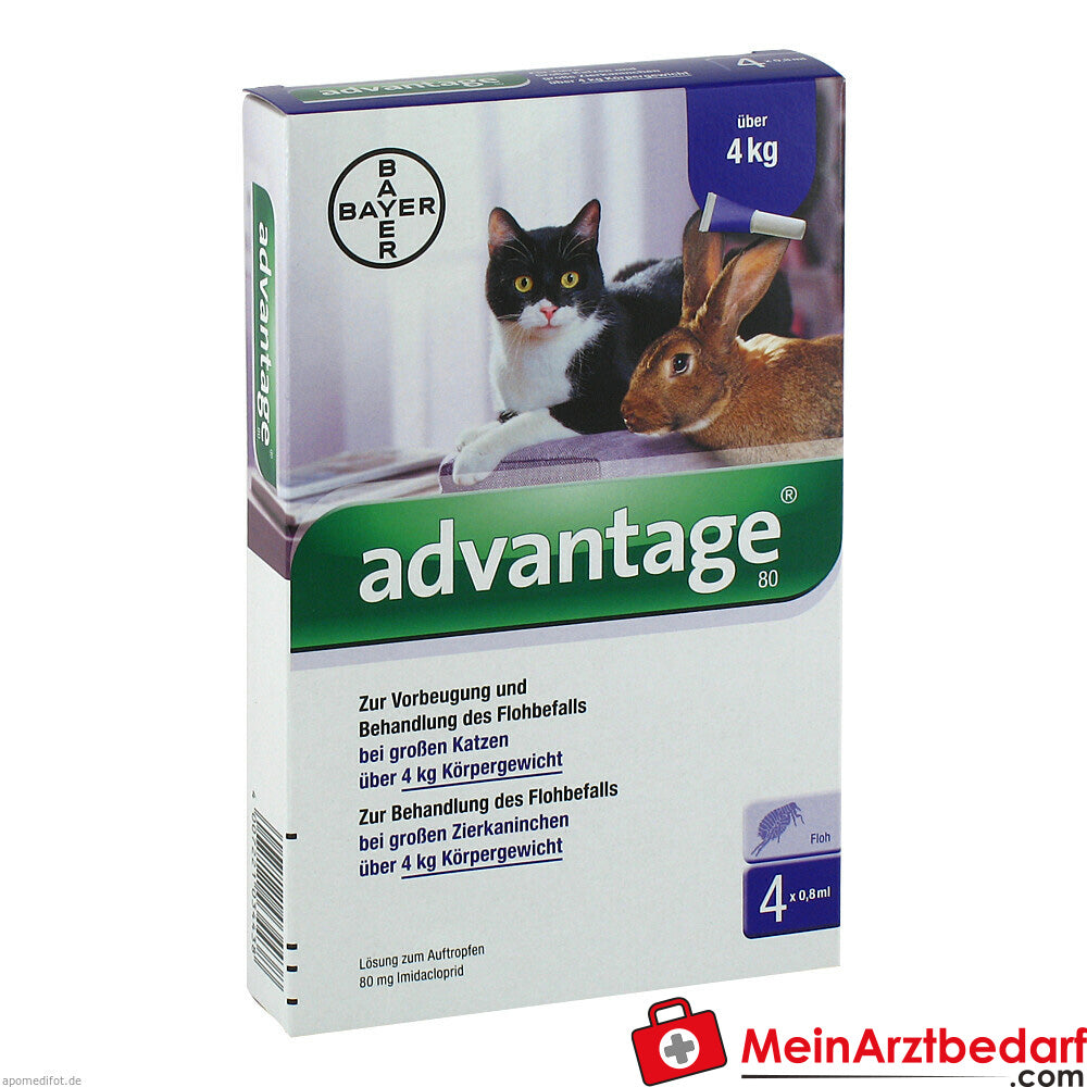 Advantage 80mg Katz + Zierka 4X0.8 ml.