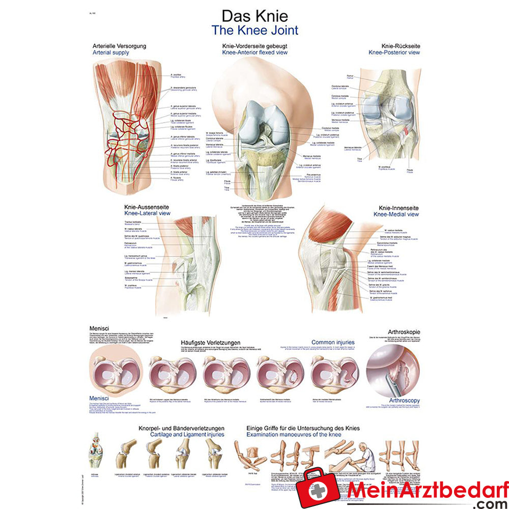 Erler-Zimmer Lehrtafel
