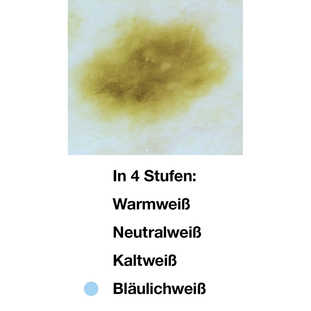 HEINE DELTA 30 PRO Dermatoskop.