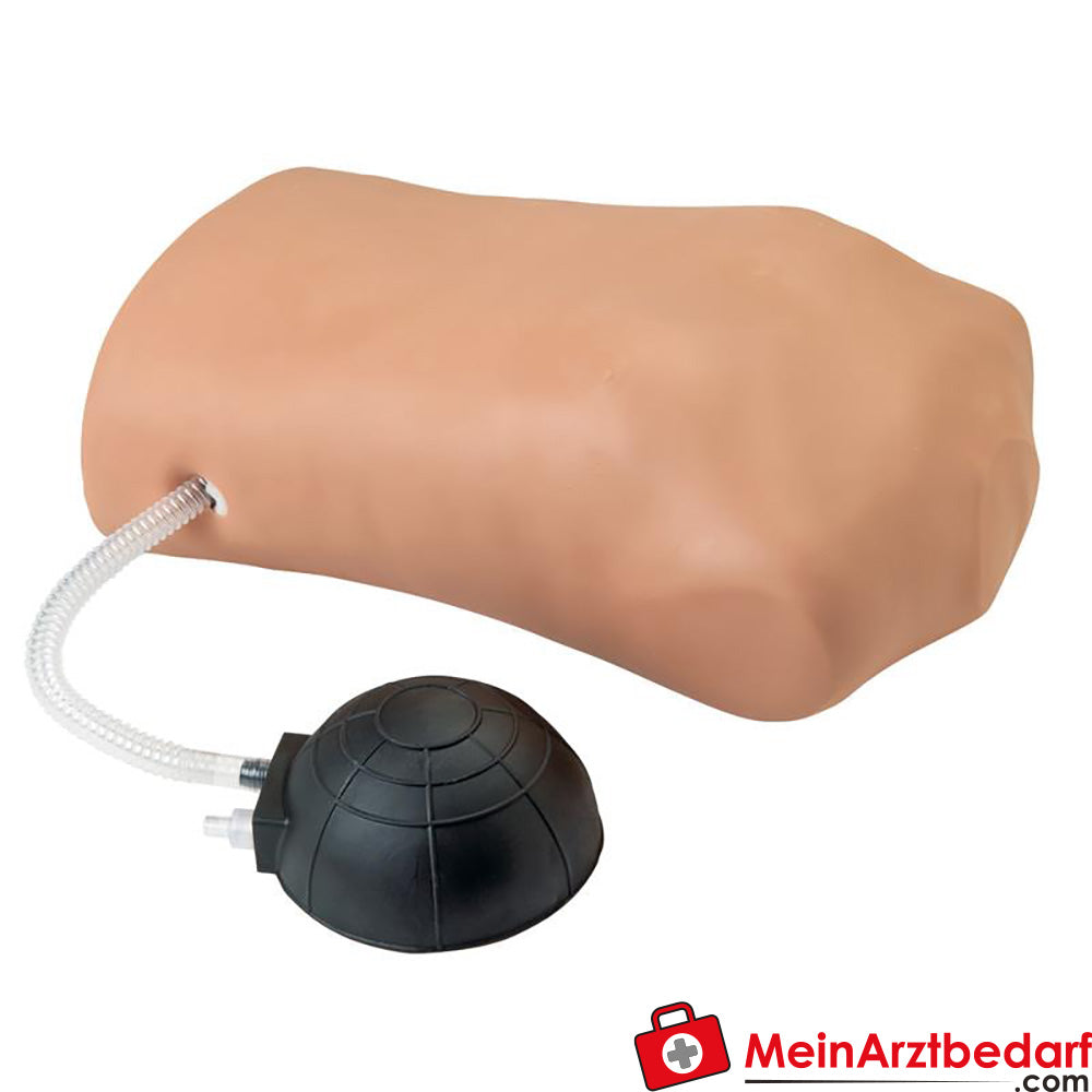 Erler-Zimmer Pneumothorax-Simulator.