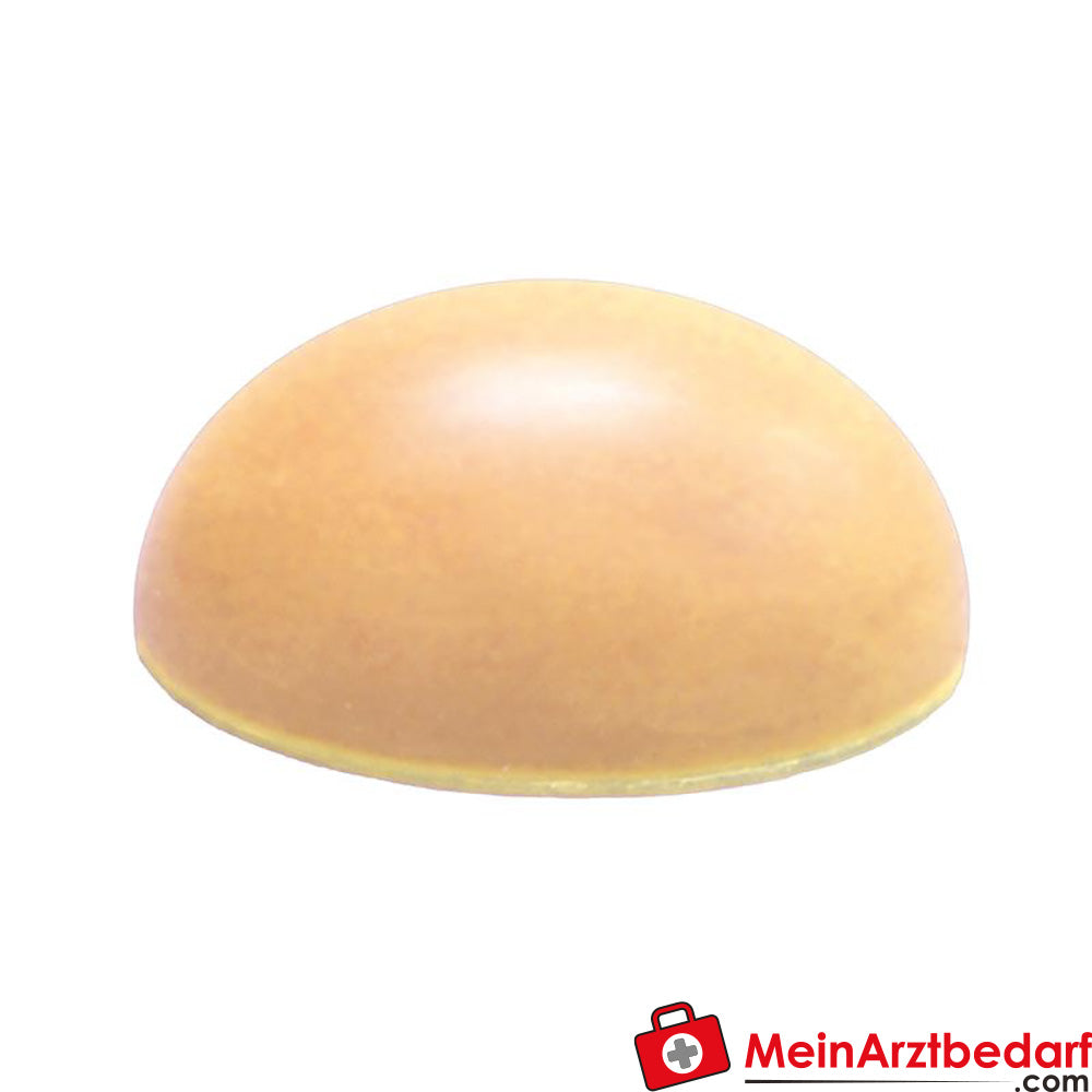 Erler Zimmer Basic ultrasound phantom