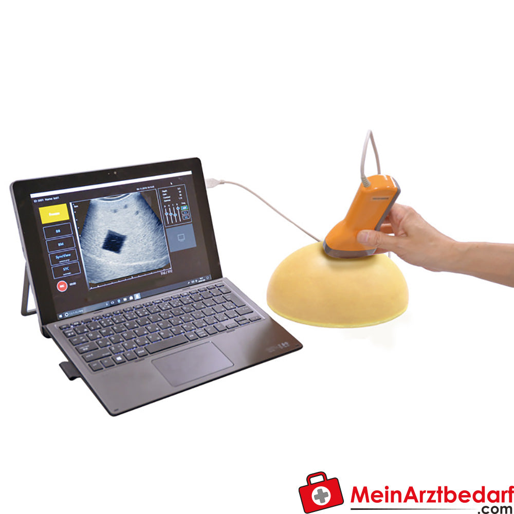 Erler Zimmer Basic ultrasound phantom