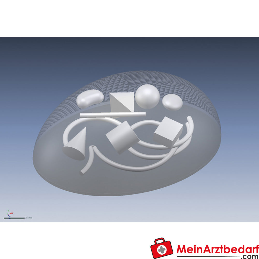 Erler Zimmer Basic ultrasound phantom