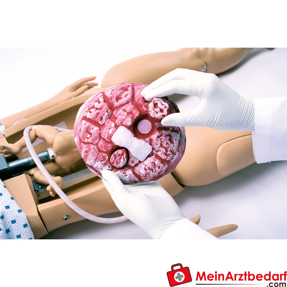 Erler Zimmer Zubehör für Noelle Geburtssimulator mit PEDI Blue Säuglingssimulator.