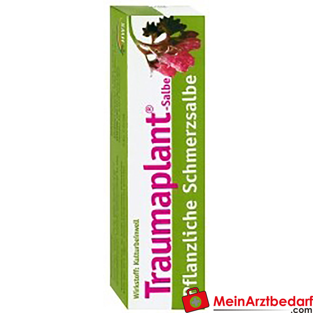 HWS Traumaplant Pomada 100 g - pomada a base de plantas para contusiones, esguinces, dolores musculares y articulares