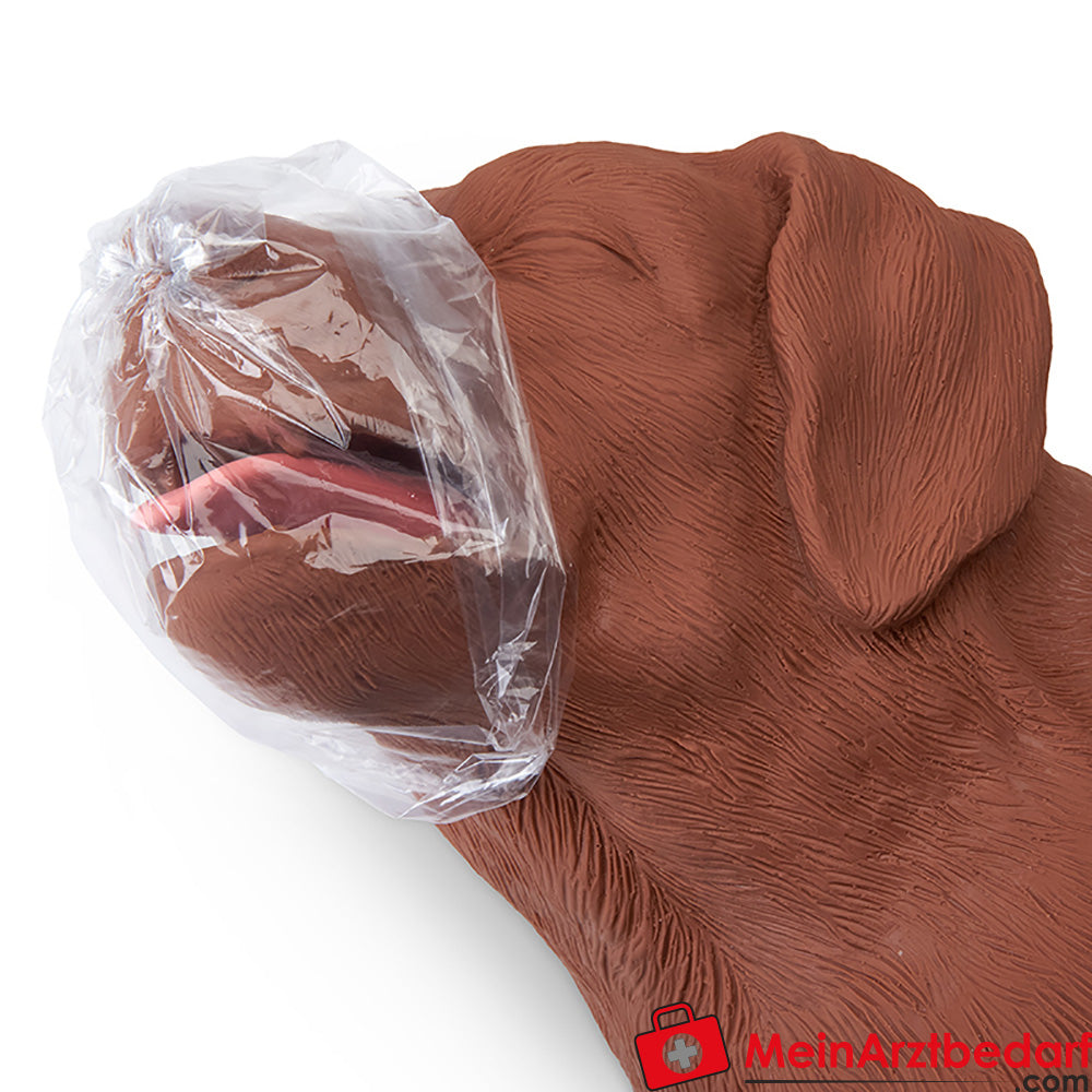 Erler-Zimmer HLW Übungshund CasPeR.