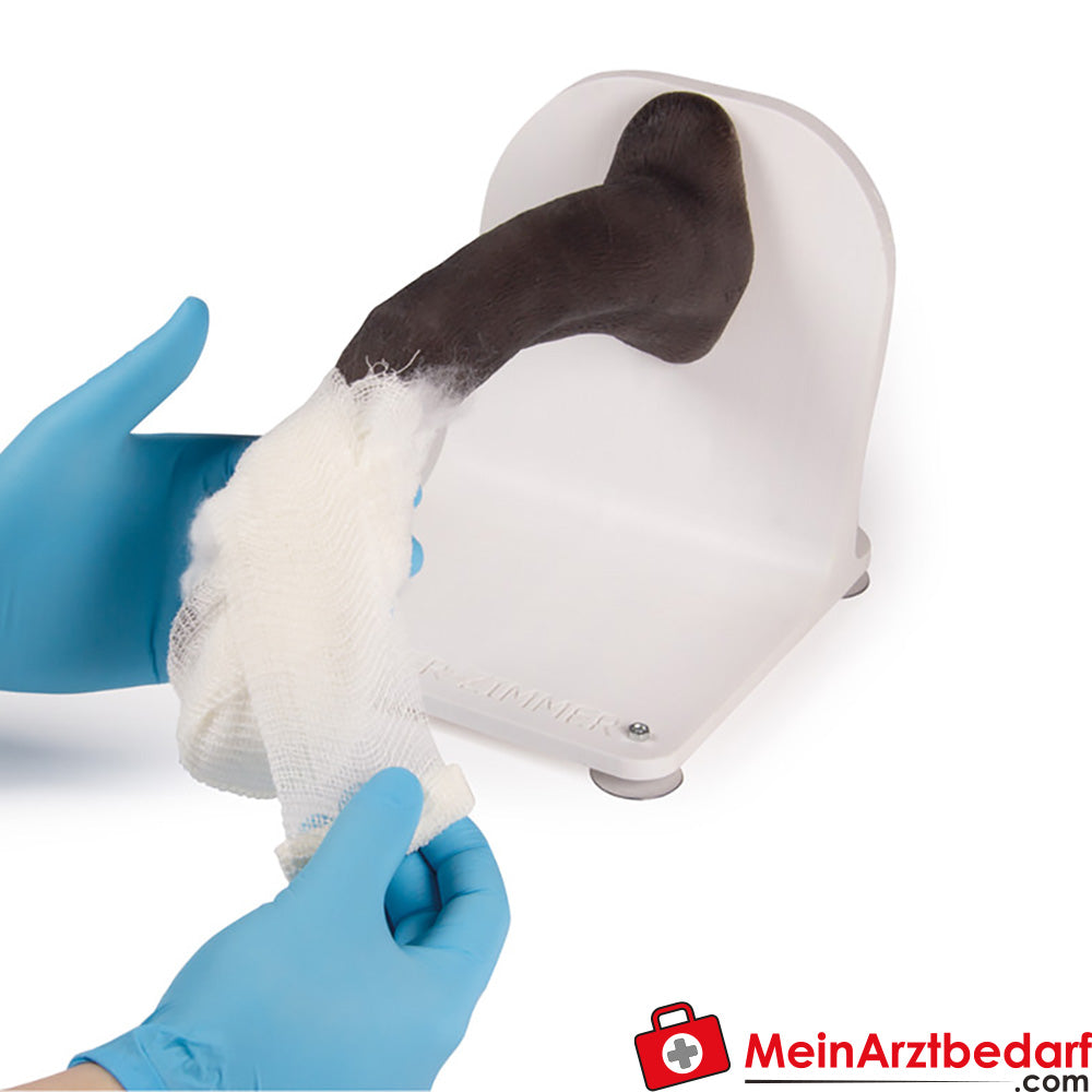 Erler-Zimmer Verbandstrainer Hundepfote.