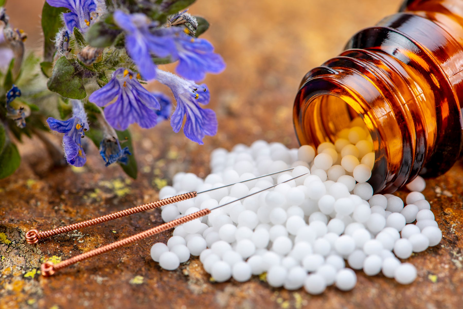 Vor- und Nachteile von pflanzlichen Heilmitteln im Vergleich zu verschreibungspflichtigen Medikamenten