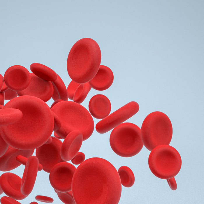 Veri-Q-Red Hämoglobin-Messgerät und Teststreifen: Ein Paradigmenwechsel in der Hämoglobinüberwachung