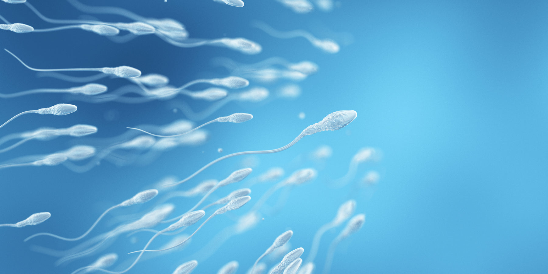 Spermaqualität verbessern - ein Arzt zeigt dir was du tun musst
