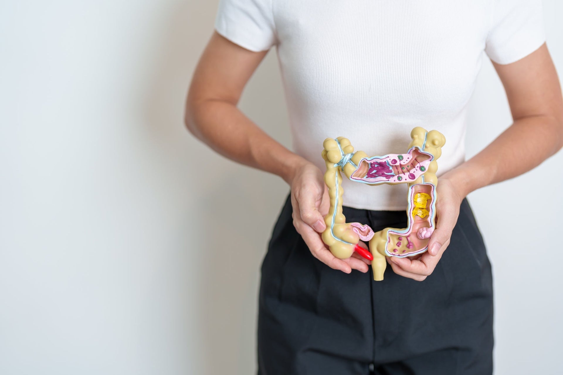 pflanzstbe kaufen Hochwertige Pflanzstbe aus GFK fr Ihre Pflanzen  Fibrolux
