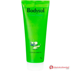 Bodysol Aroma-Dusche Ginkgo-Limette Duschgel mit Panthenol / Ginkgo-Extrakt, 250 ml.