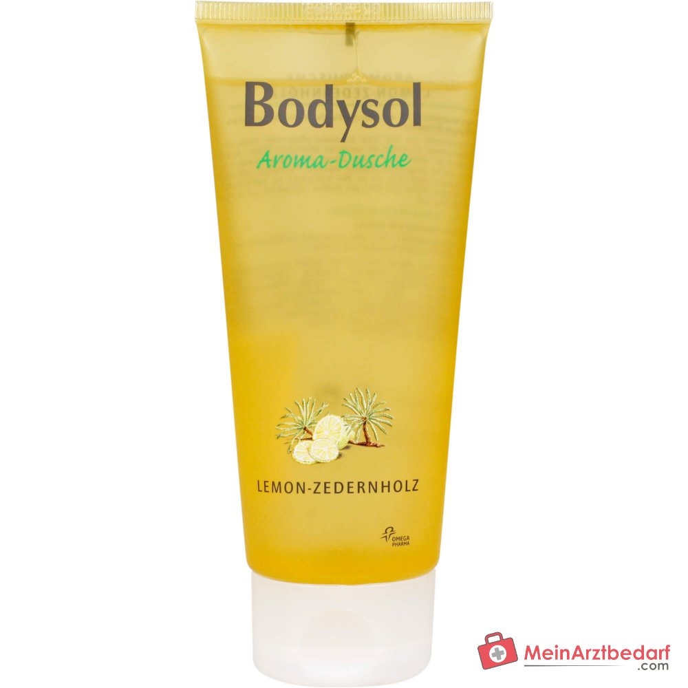 Bodysol Aroma-Dusche Lemon-Zedernholz Duschgel mit Panthenol, 100 ml.