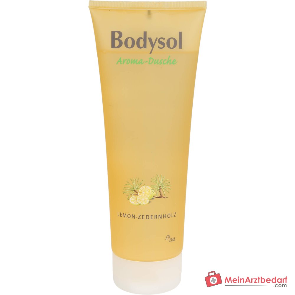 Bodysol Aroma-Dusche Lemon-Zedernholz Duschgel, 250 ml.