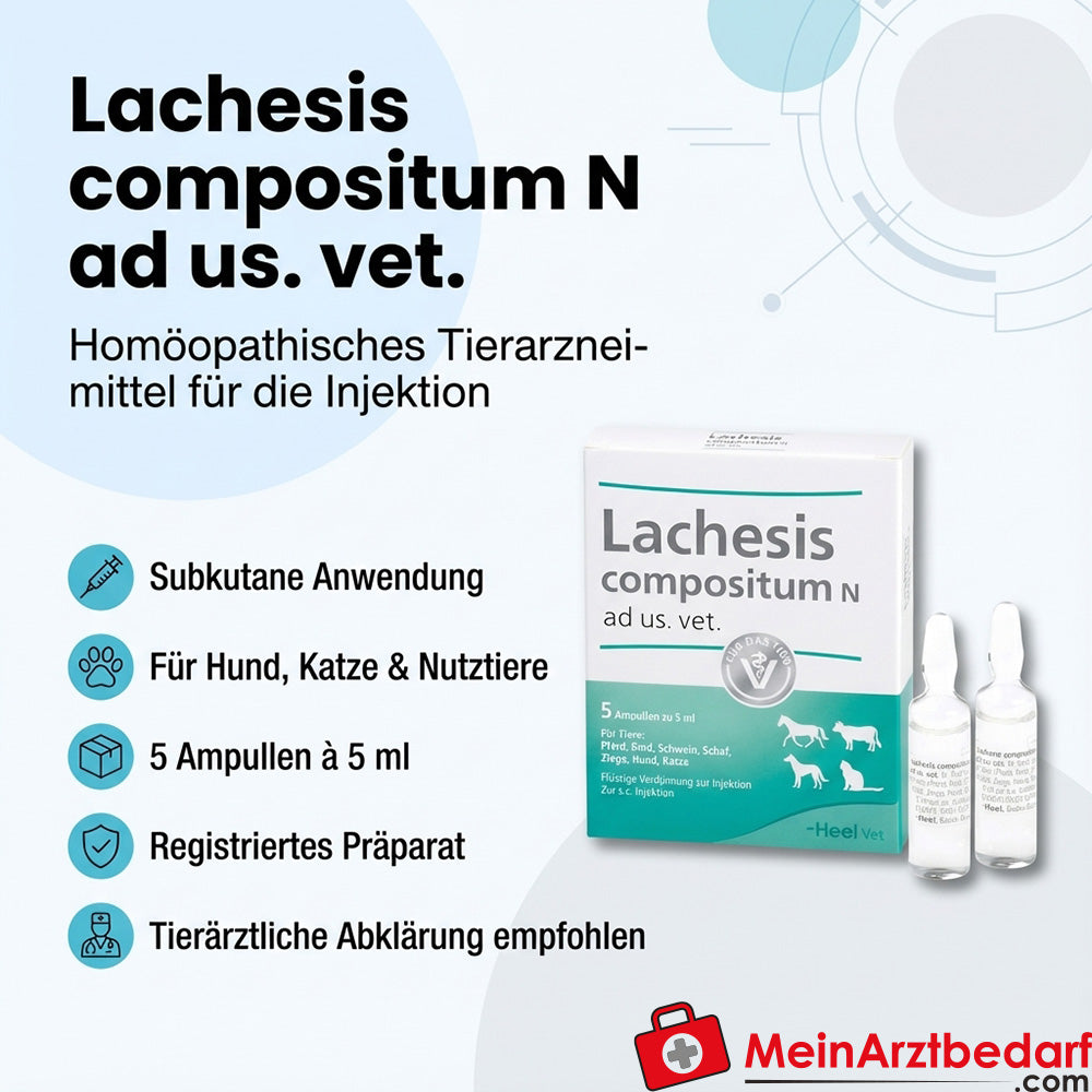 Lachesis comp n vet 5 St