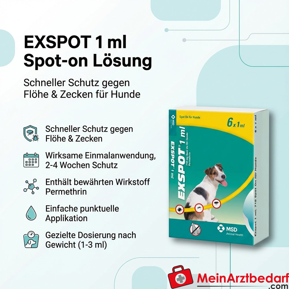 Exspot vet permetrina 715 mg/ml solución spot-on para perros 6 x 1 ml