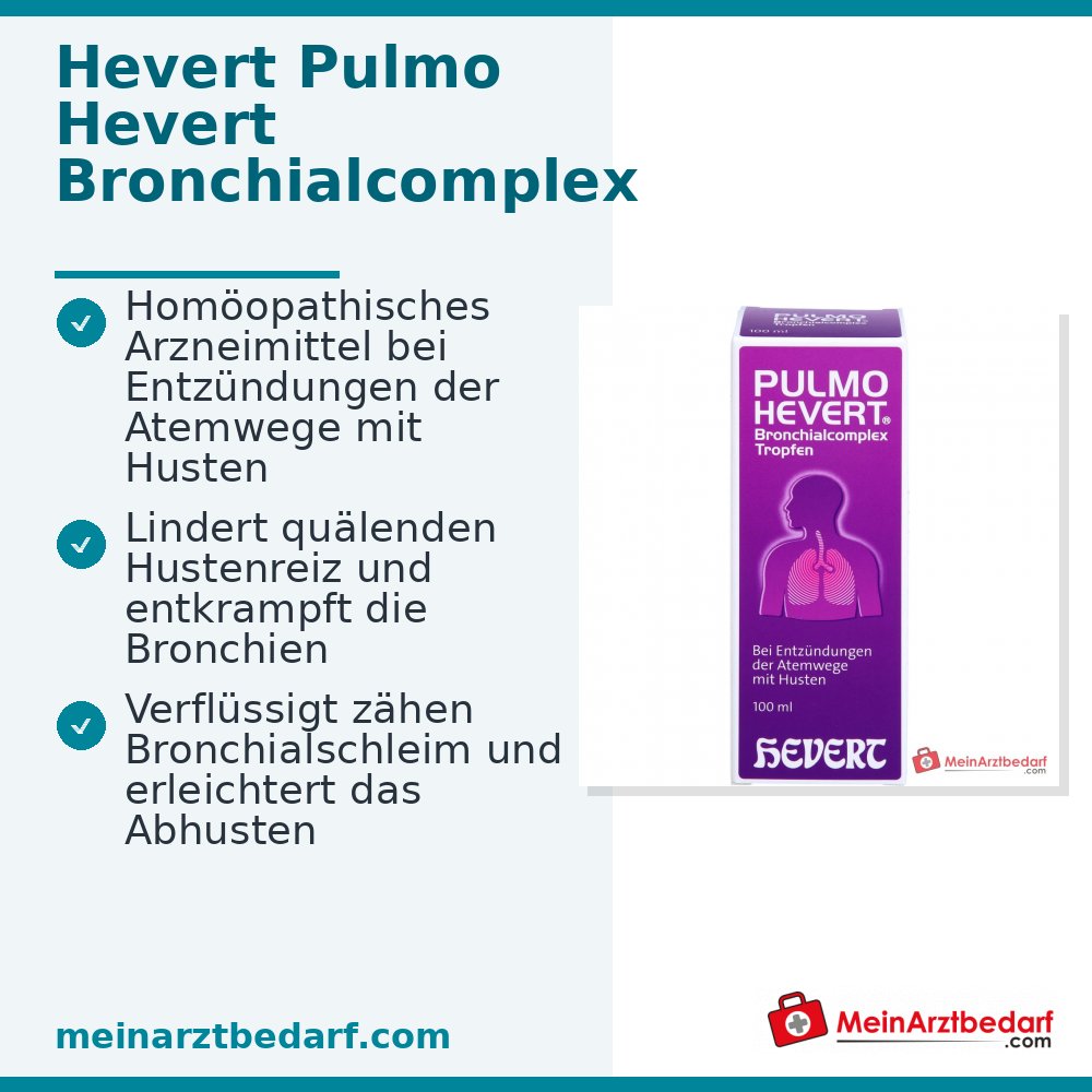 Hevert Pulmo Bronchialcomplex Tropfen, 100 ml