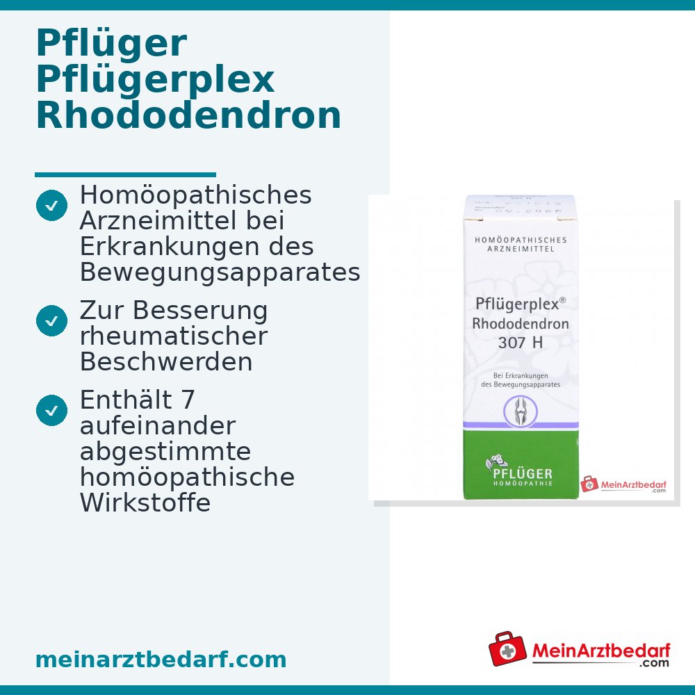Pflüger Pflügerplex Rhododendron 307 H Acidum silicicum / Bryonia / Chelidonium majus / Filipendula ulmaria / Guajacum / Rhododendron / Thuja occidentalis Comprimés, 100 pcs.