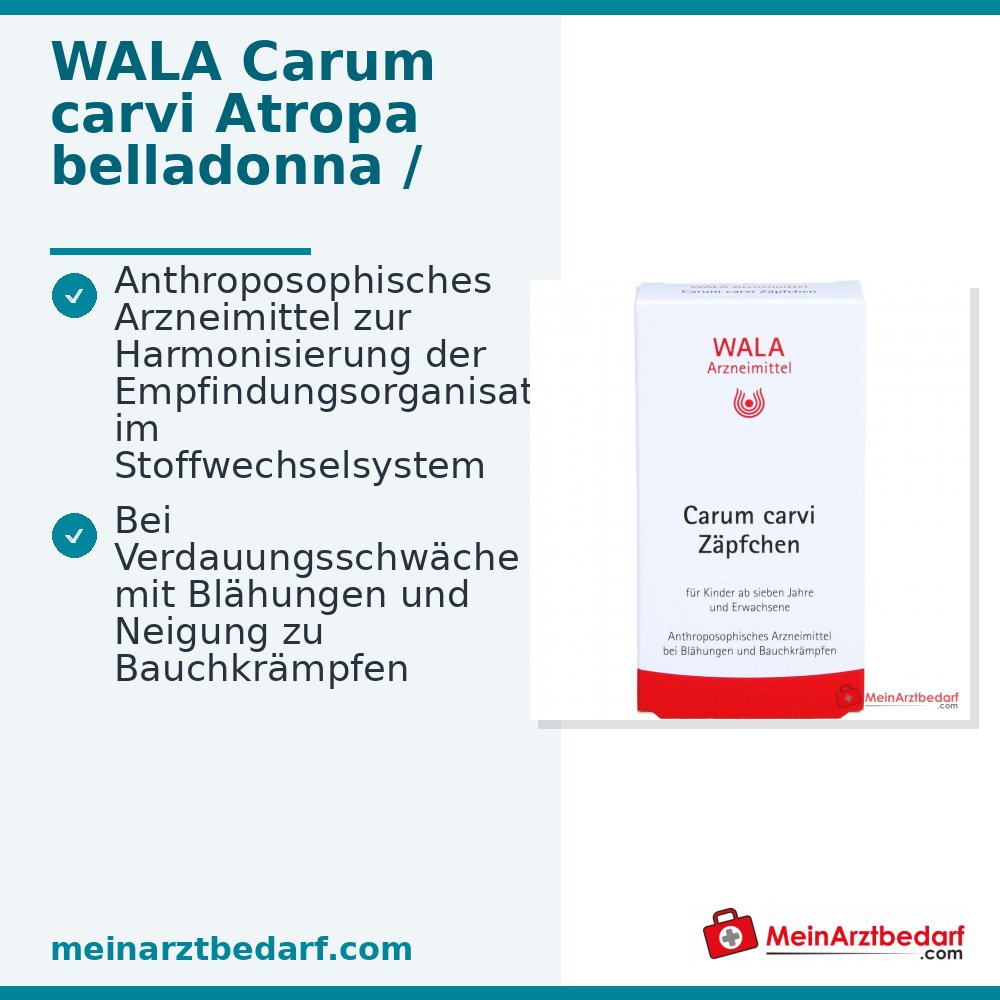 WALA Carum carvi Suppositorien, 10 Stück