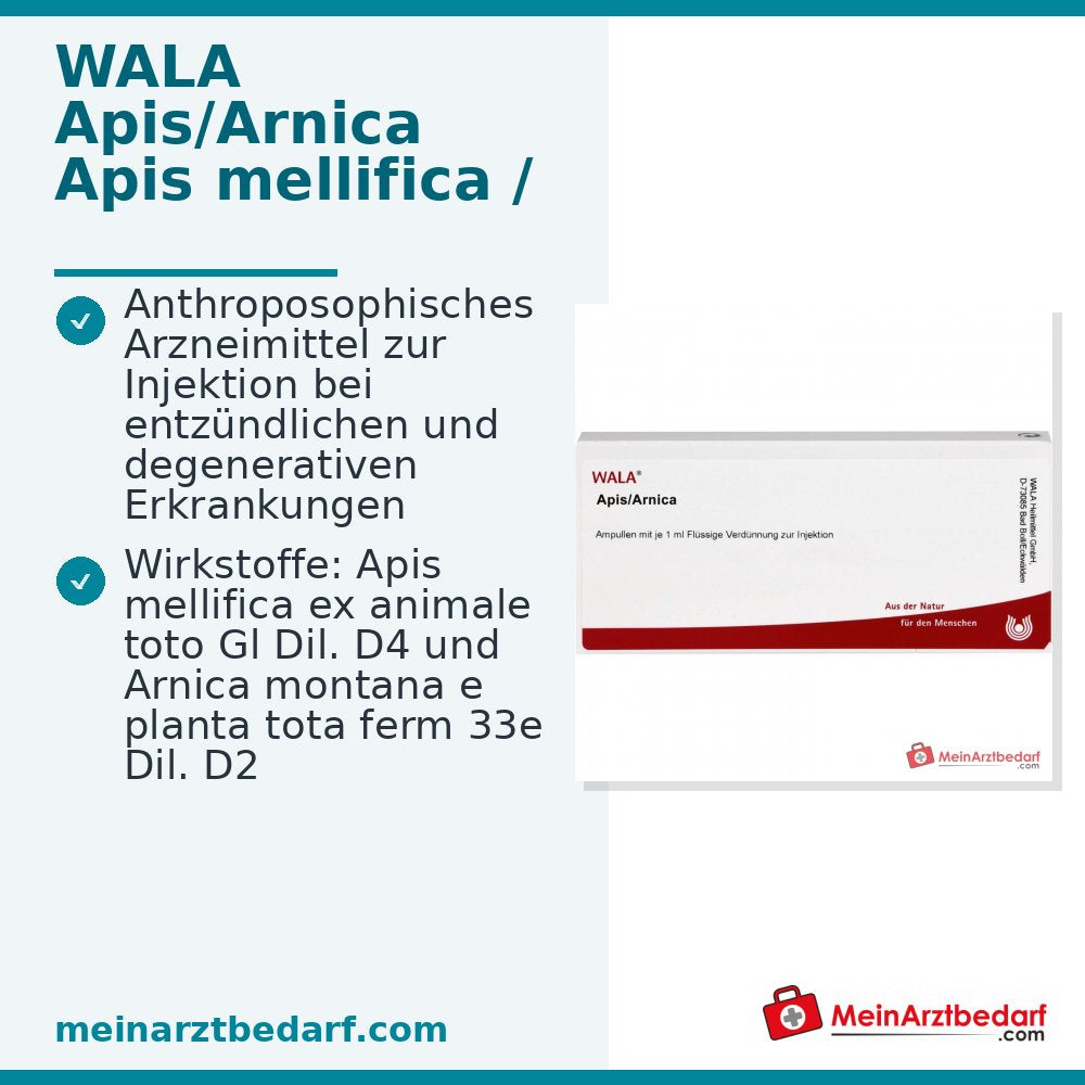 WALA Apis/Arnica Flüssige Verdünnung zur Injektion, 10 x 1 ml