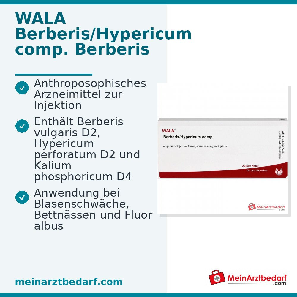 WALA Berberis/Hypericum comp. Ampullen, 10 x 1 ml