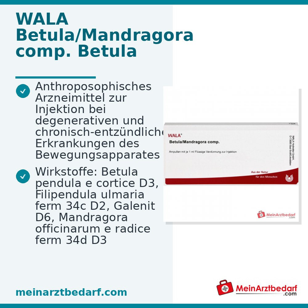 WALA Betula/Mandragora comp. Ampollas, 10 x 1 ml