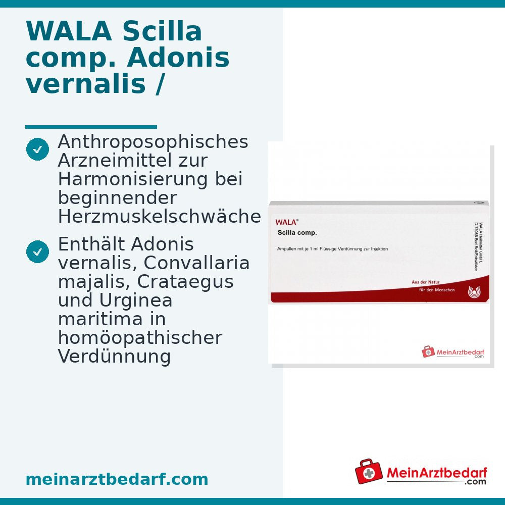 WALA Scilla comp. Ampullen, 10 x 1 ml