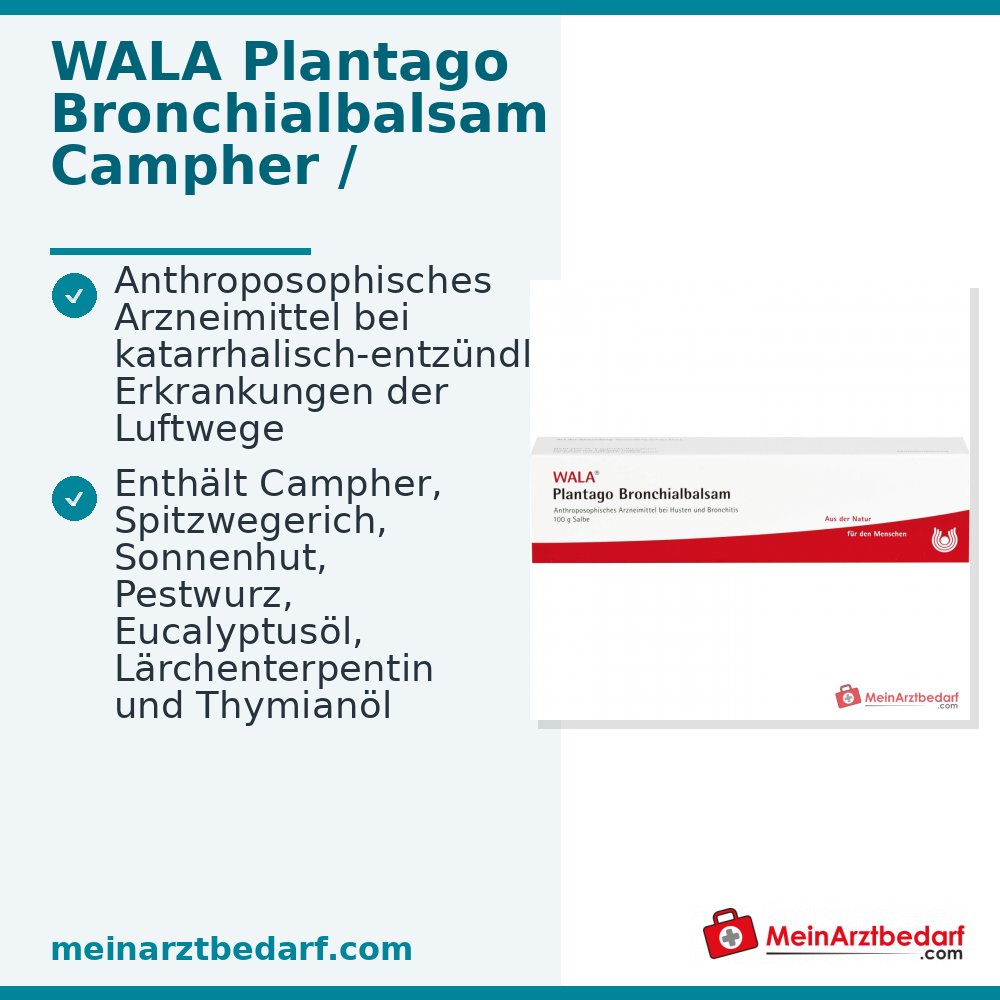 WALA Plantago Maść Balsam Bronchial, 100 g