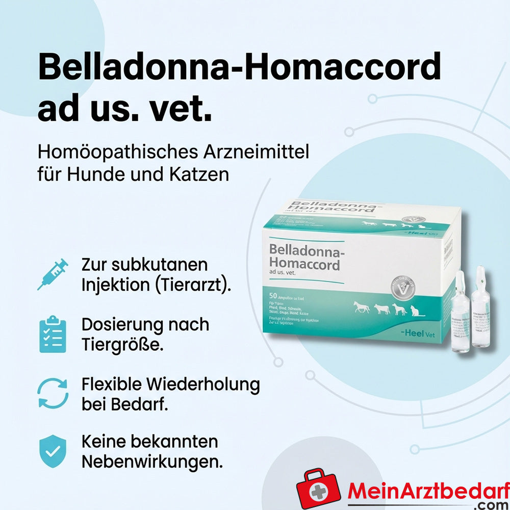 Belladonna Homaccord ad us. vet. 5 ml Ampullen 50 Stück