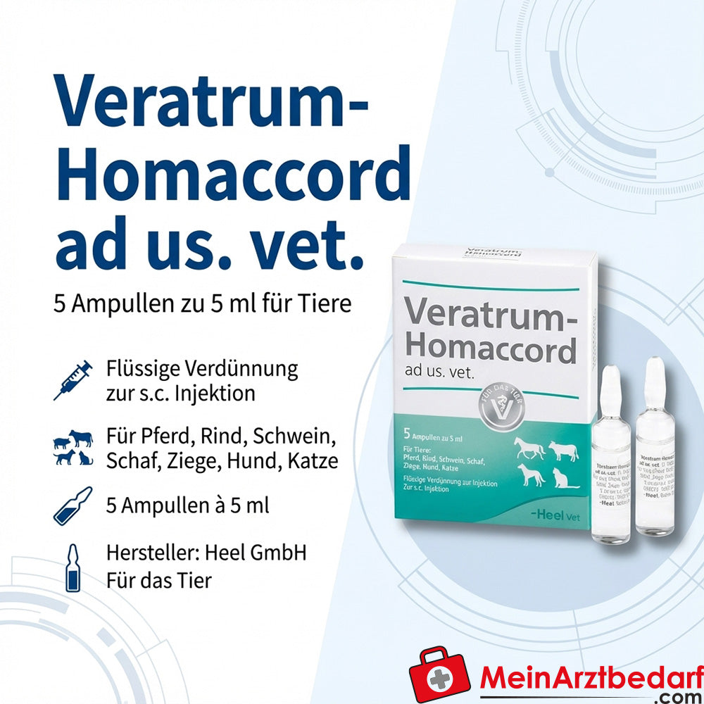Veratrum homaccord vet 5 St