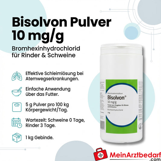 Bisolvon polvo clorhidrato de bromhexina 10 mg/g para alimentación 1000 g