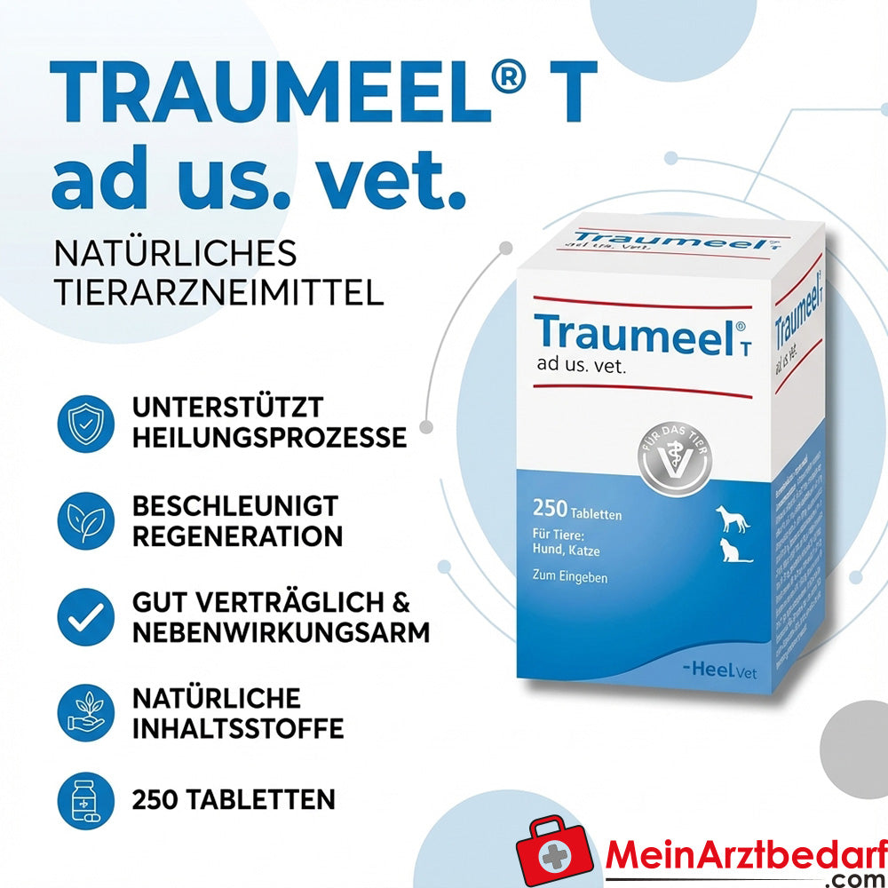 Traumeel T ad us. vet. comprimidos 250 unidades para perros y gatos