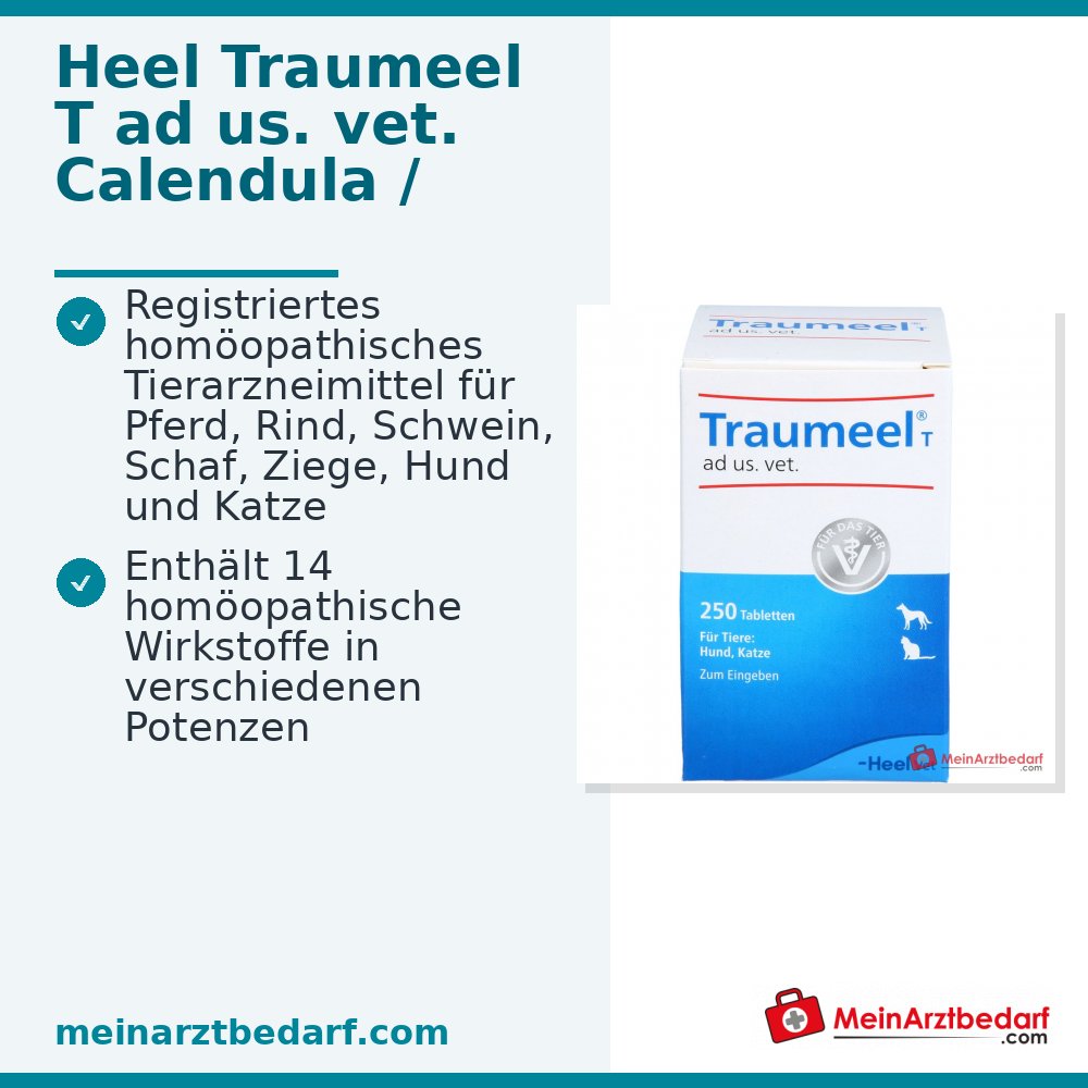 Traumeel T ad us. vet. comprimidos 250 unidades para perros y gatos