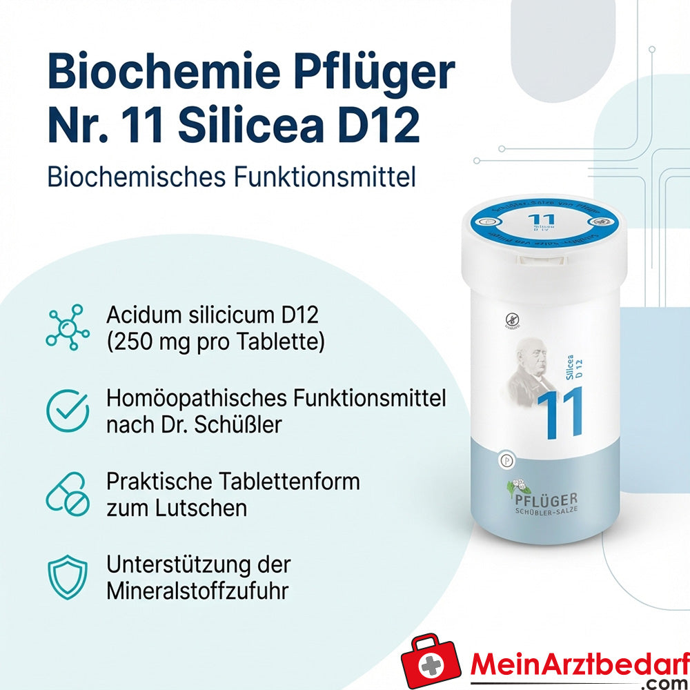 Biochemie Pflüger Nr. 11 Silicea D12 250 mg Tabletten