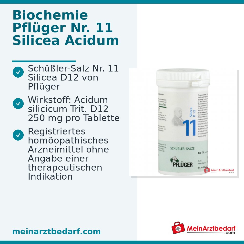 Biochemie Pflüger Nr. 11 Silicea Acidum silicicum D12 Tabletten, 100 St.